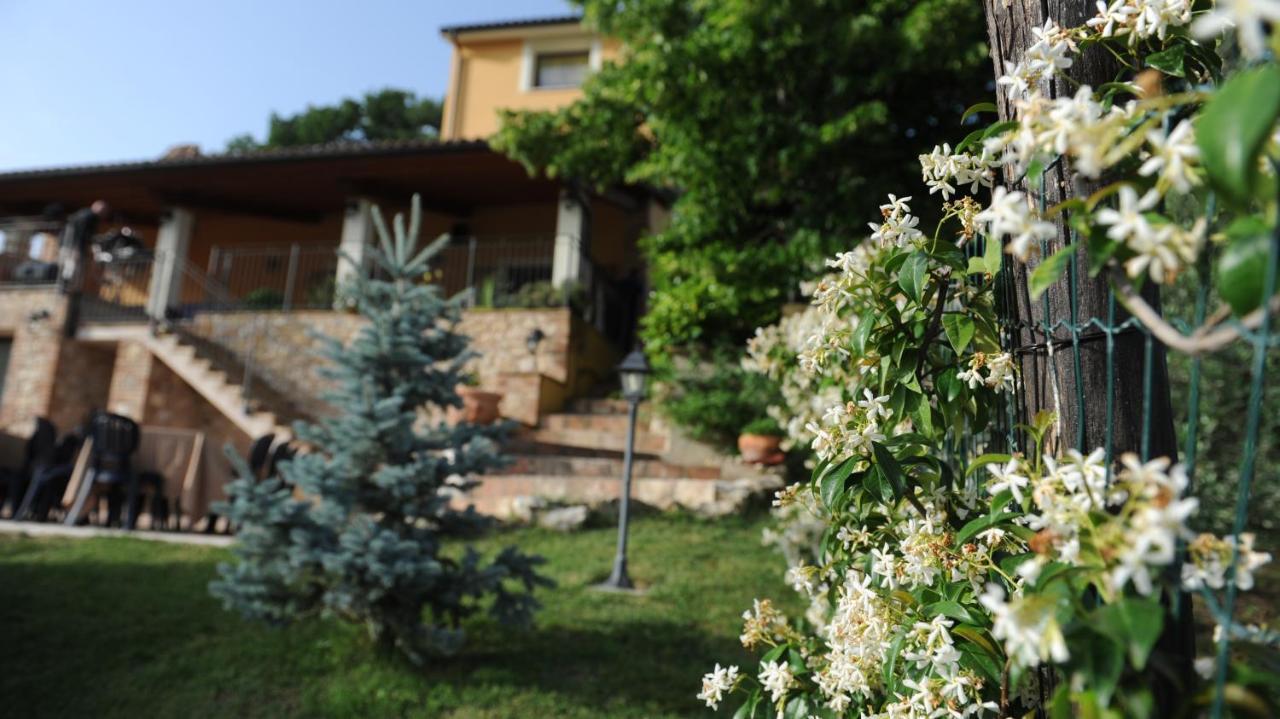 Casafe Tra Sogno E Realta Bed & Breakfast Narni Scalo Exterior photo